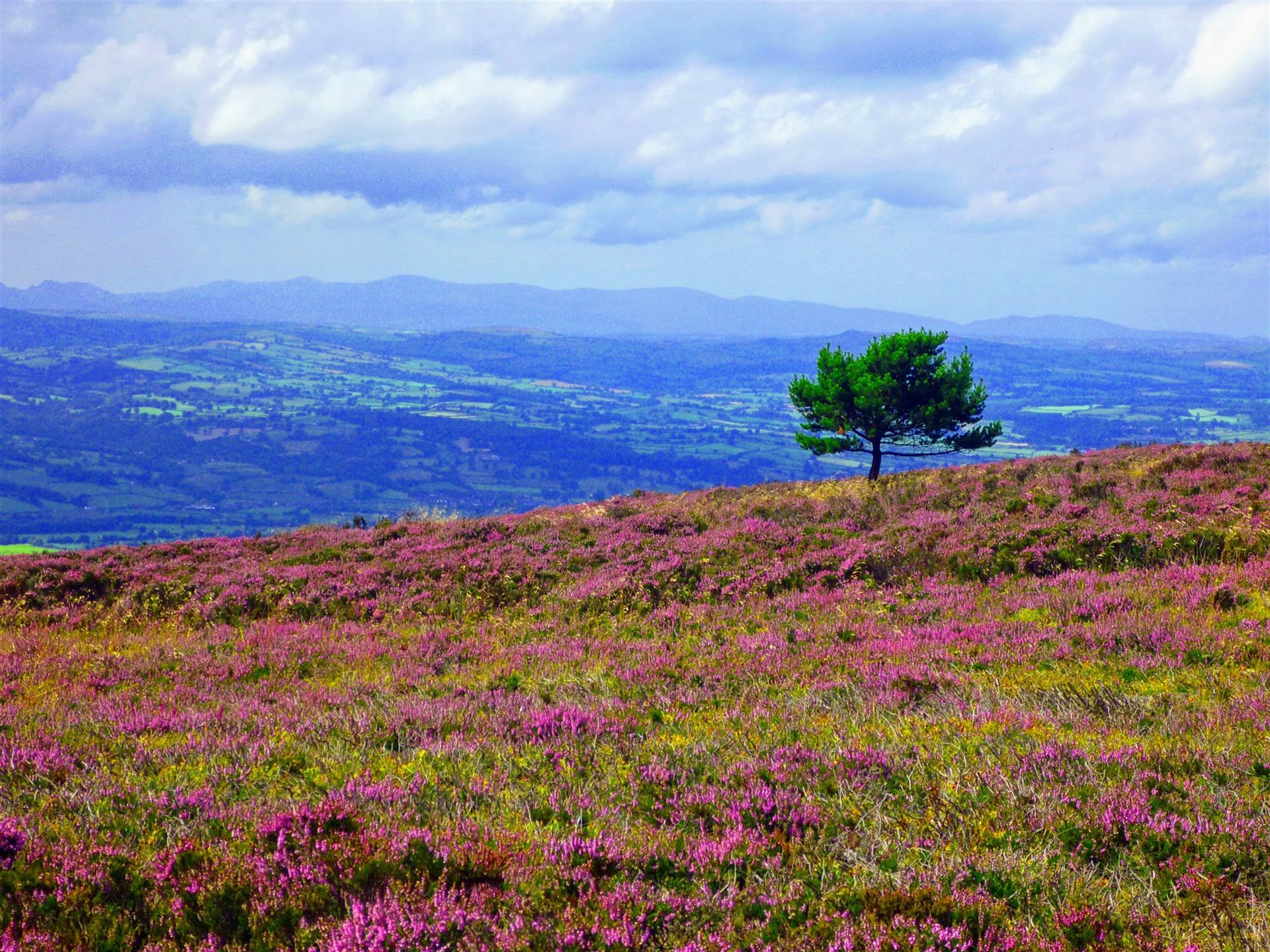 View towards Snowdonia from the summit of Moel Famau